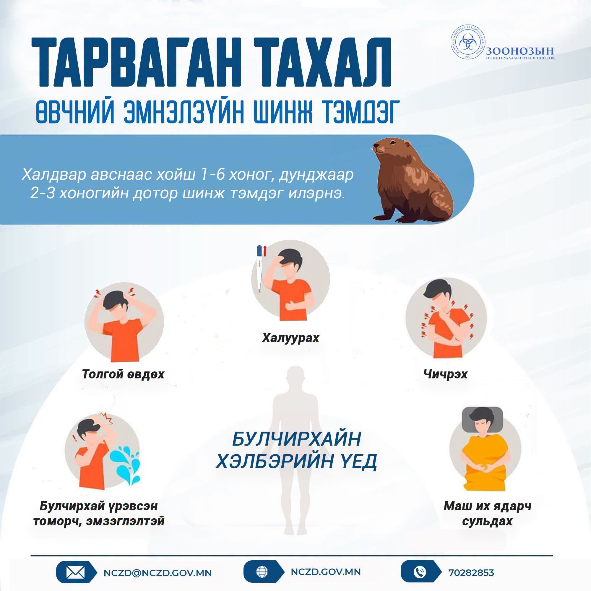 ТАРВАГАН ТАХЛААС СЭРГИЙЛЦГЭЭЕ!